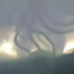 Meet your Posher, King